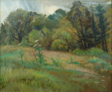 Meadowlands In Steady Rain Meadowlands In Steady Rain