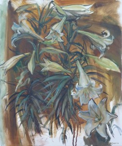 A Study Of Longiflorum A Study Of Longiflorum