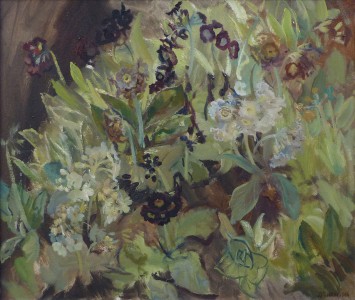 A Study Of Auricula A Study Of Auricula