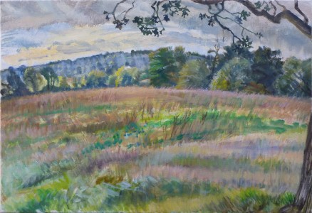 From Under A Mayfield Tree From Under A Mayfield Tree