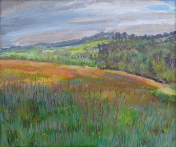 Buttercup Meadow Buttercup Meadow