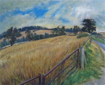 Cornfield And Gate Cornfield And Gate