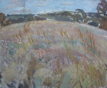 Meadow In June With Pylons Meadow In June With Pylons