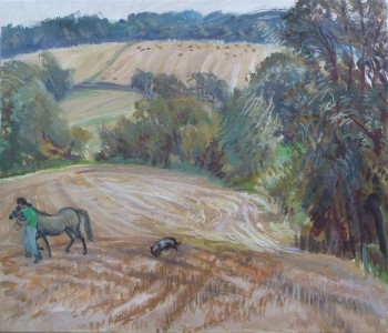 Horse And Dog Horse And Dog