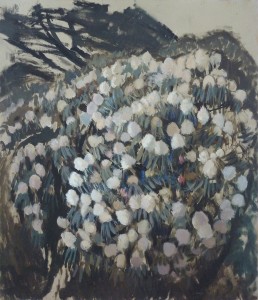 Rhododendron Sketch Rhododendron Sketch