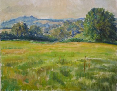 Summer Field At Mayfield Summer Field At Mayfield