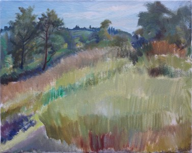 Tall Grass Field Tall Grass Field