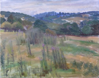 Thistle Field Thistle Field