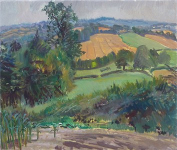 Farmland With Sweetcorn Farmland With Sweetcorn