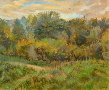 Two Ducks Flying Over Mayfield Two Ducks Flying Over Mayfield