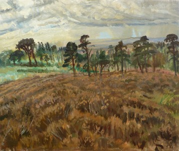 Storm Brewing, Ashdown Forest Storm Brewing, Ashdown Forest