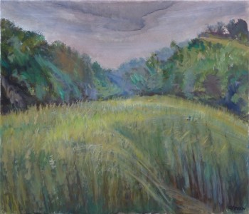 Grass Fields At Mayfield Grass Fields At Mayfield