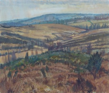 Ashdown Forest Scene Ashdown Forest Scene