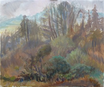 Autumn Trees Near Mayfield Autumn Trees Near Mayfield