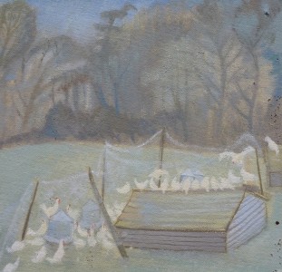 White Chickens White Chickens