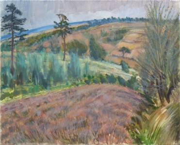 Heather On Ashdown Forest Heather On Ashdown Forest