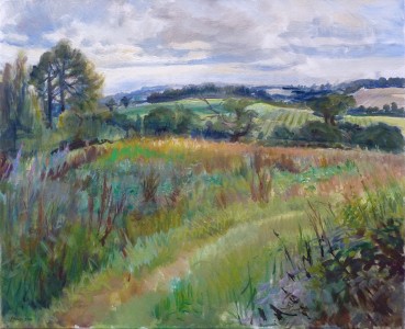 Edge Of Ashdown Forest Edge Of Ashdown Forest