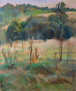 Sunset, Mayfield Convent Grounds Sunset, Mayfield Convent Grounds