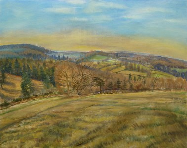 Sunny Day, Ashdown Forest Sunny Day, Ashdown Forest