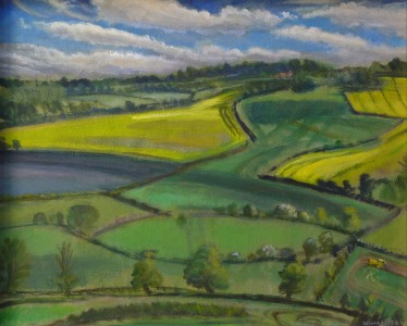 Rape Seed Fields Rape Seed Fields