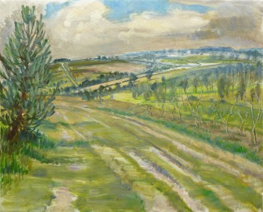 Ashdown Forest From The Track Ashdown Forest From The Track