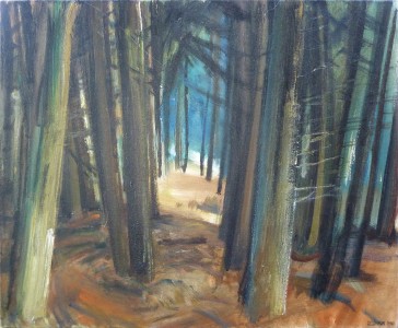 Pine Forest Sussex Pine Forest Sussex
