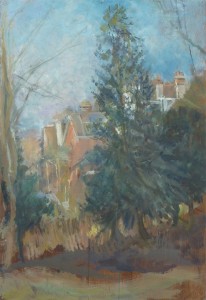 Back Of Mayfield Houses Back Of Mayfield Houses