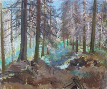 Fir Toll Road Fir Toll Road