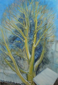 Winter Lime Tree From Hawthorn Winter Lime Tree From Hawthorn