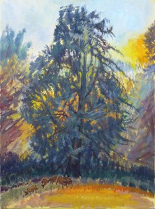 Mayfield Sunset From Memory Mayfield Sunset From Memory