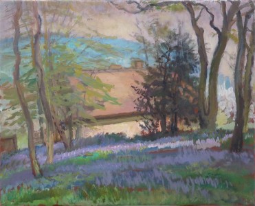 Bluebells In Carole's Garden Bluebells In Carole's Garden