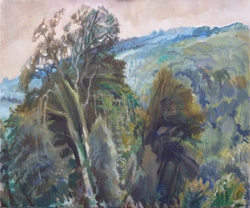 Treetops Near Mayfield Treetops Near Mayfield