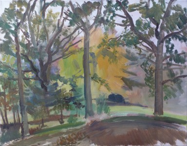 Tree Study Tree Study