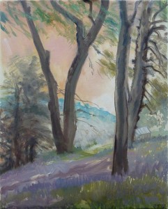 Bluebells In Painter's Garden Bluebells In Painter's Garden