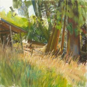 Hawthorn Compost Corner Hawthorn Compost Corner