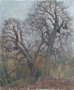 Two Old Trees Two Old Trees