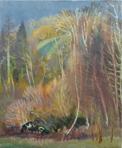 Cows In Autumn Woods Cows In Autumn Woods