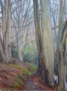 Mayfield Beech Trees At Dawn Mayfield Beech Trees At Dawn