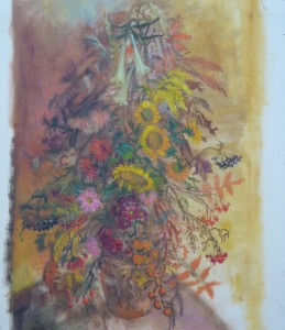 Summer Colour Flowers Summer Colour Flowers