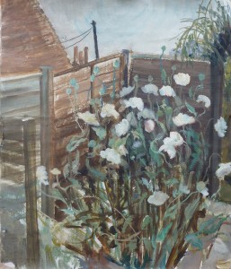 Opium Poppies Sketch Opium Poppies Sketch