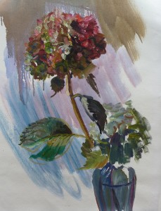 Hydrangea Sketch Hydrangea Sketch