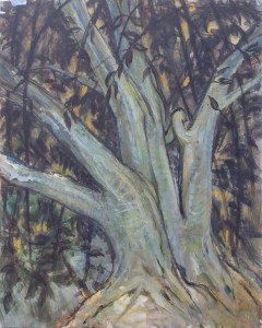 Old Tree At Mayfield Convent Old Tree At Mayfield Convent