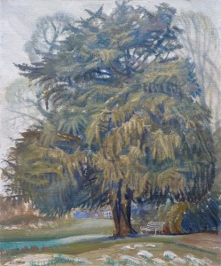 Yew Tree, Cecilia Close Yew Tree, Cecilia Close