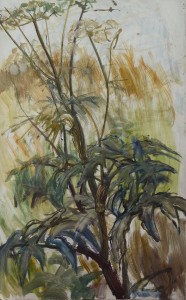 Cow Parsley Cow Parsley