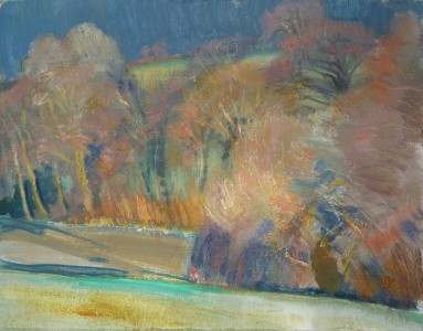 Sunlit Trees Sunlit Trees