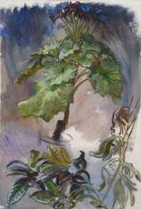 Plant Study Plant Study