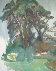 Pine Trees Pine Trees