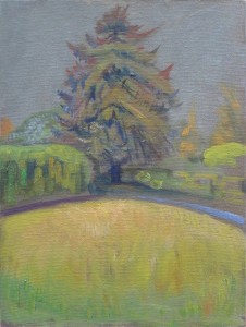 Centre Lawn, Oldlands Centre Lawn, Oldlands