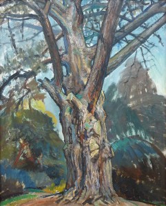 Scots Pine, Oldlands Scots Pine, Oldlands