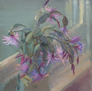 Christmas Cactus Christmas Cactus